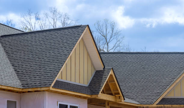 Best Roof Moss and Algae Removal  in Gold Beach, OR